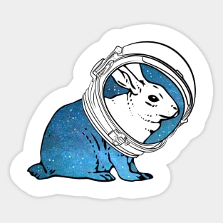 space rabbit Sticker